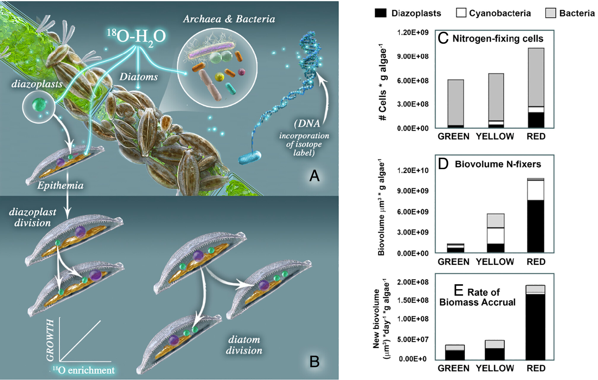 Image is not available
