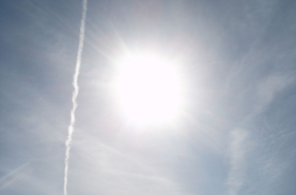 Events of sudden warming on microbial metabolism