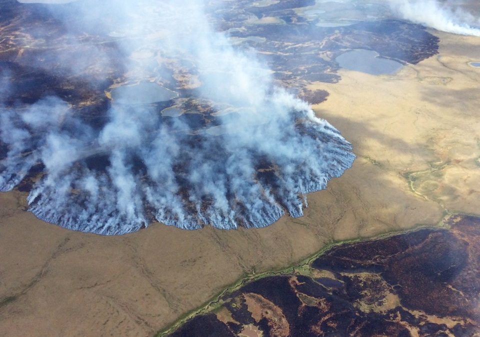Ted Schuur, Ecoss Permafrost Researcher, Featured in The Atlantic Magazine