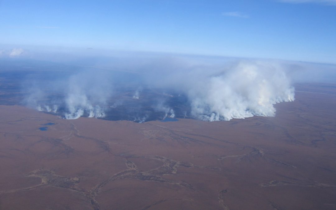 Fire expert Michelle Mack comments on Arctic ecosystems and fire activity