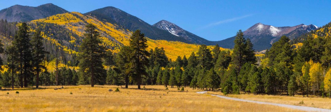 Call for Applications: Graduate Students