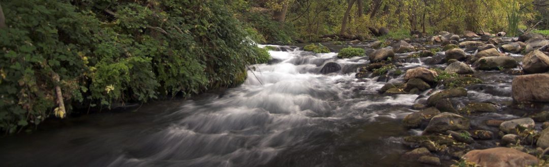 Stream Restoration