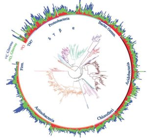 Circular color graphic shows the use of carbon and oxygen within different soil bacteria.