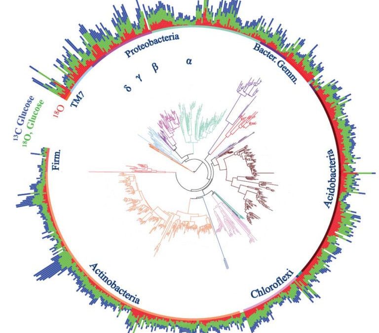 New tool reveals role of ancestry in soil communities of bacteria