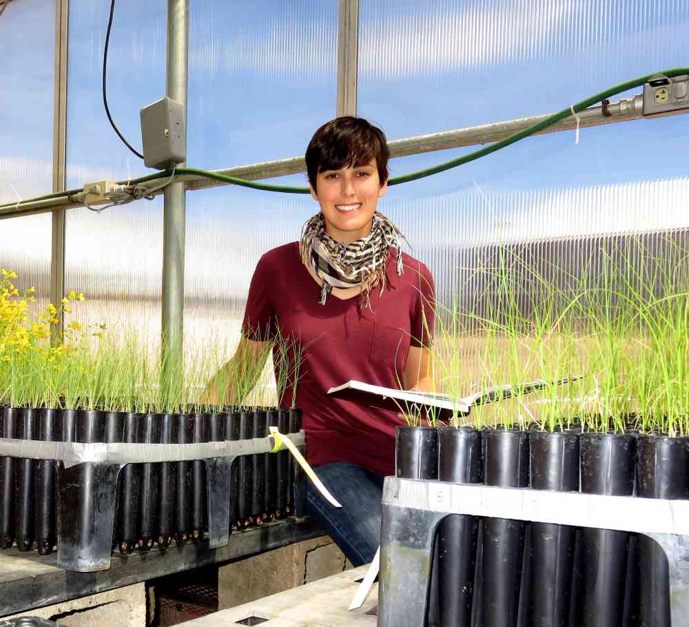 rachel rubin with plant samples
