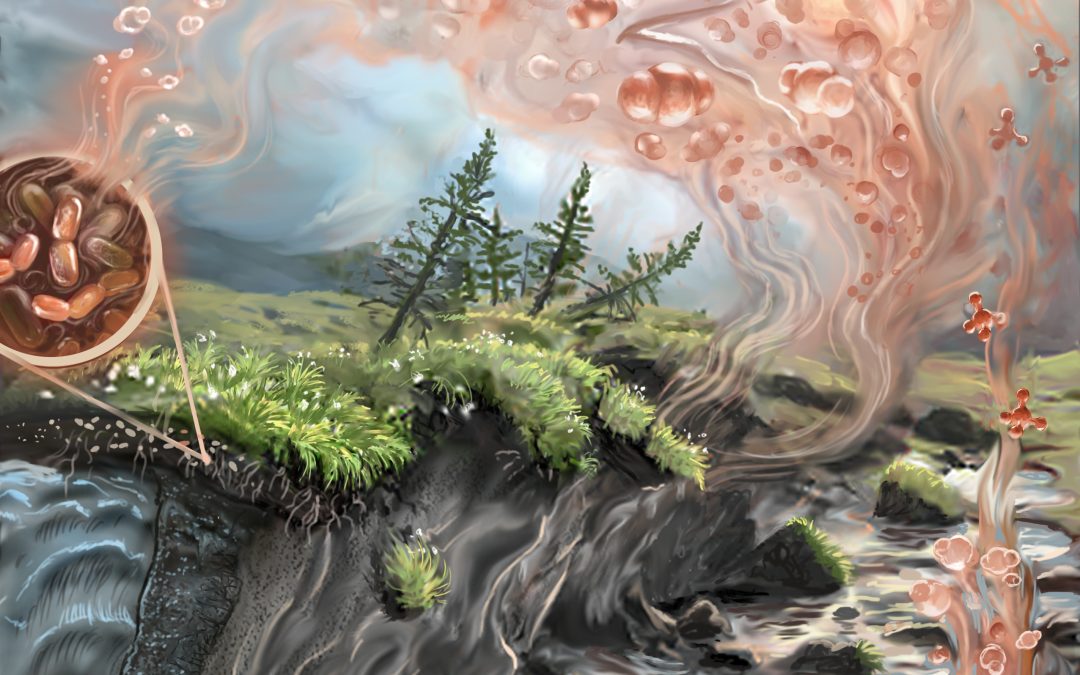 Carbon dioxide biggest player in thawing permafrost