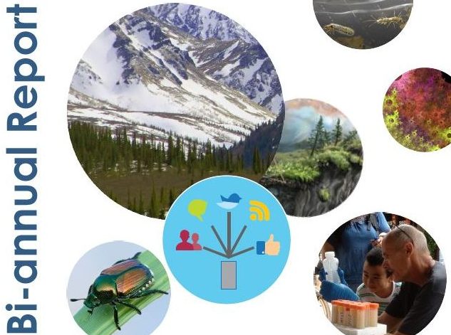 cover page for biannual report