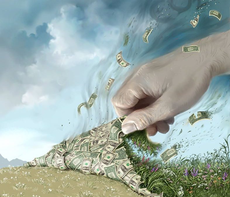 NAU researcher leads effort to quantify economic value of biodiversity