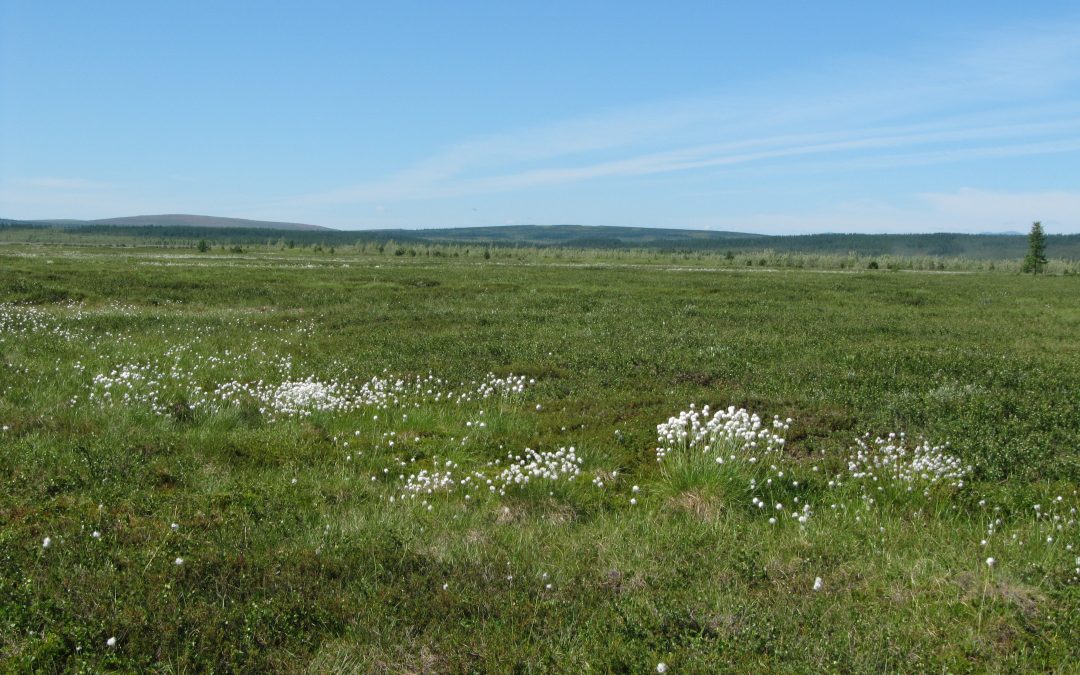 NAU expert Ted Schuur comments on recent study on permafrost loss