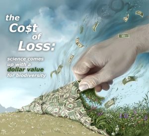 leshyk illustration dollar value for biodiversity