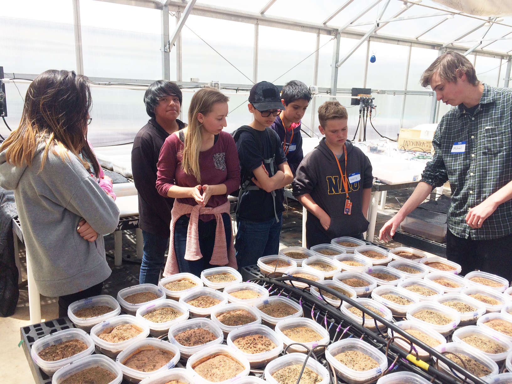 Students gathered around trays of leaf-litter samples in the greenhouse