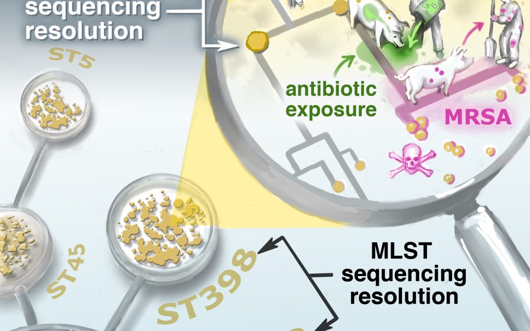Ecology & Genomics Offer New Approaches to Combat Antibiotic Resistance