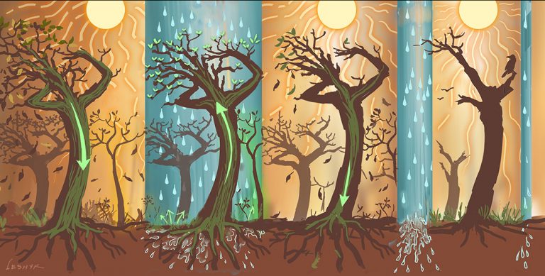 illustration frequent droughts