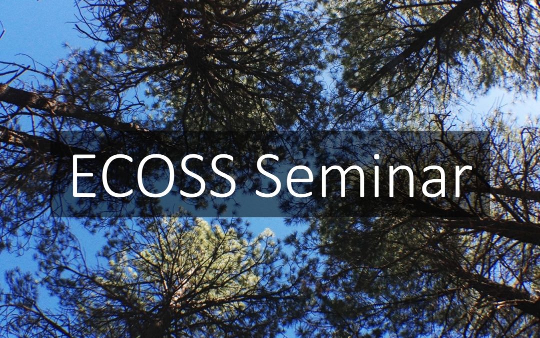 Pine_trees_Ecoss_seminar