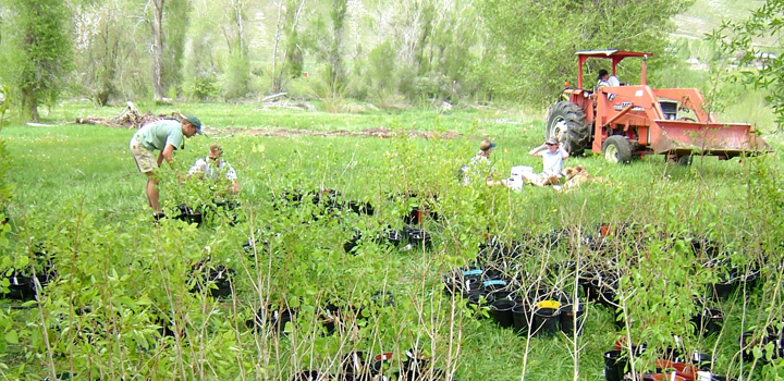 research being done in a field