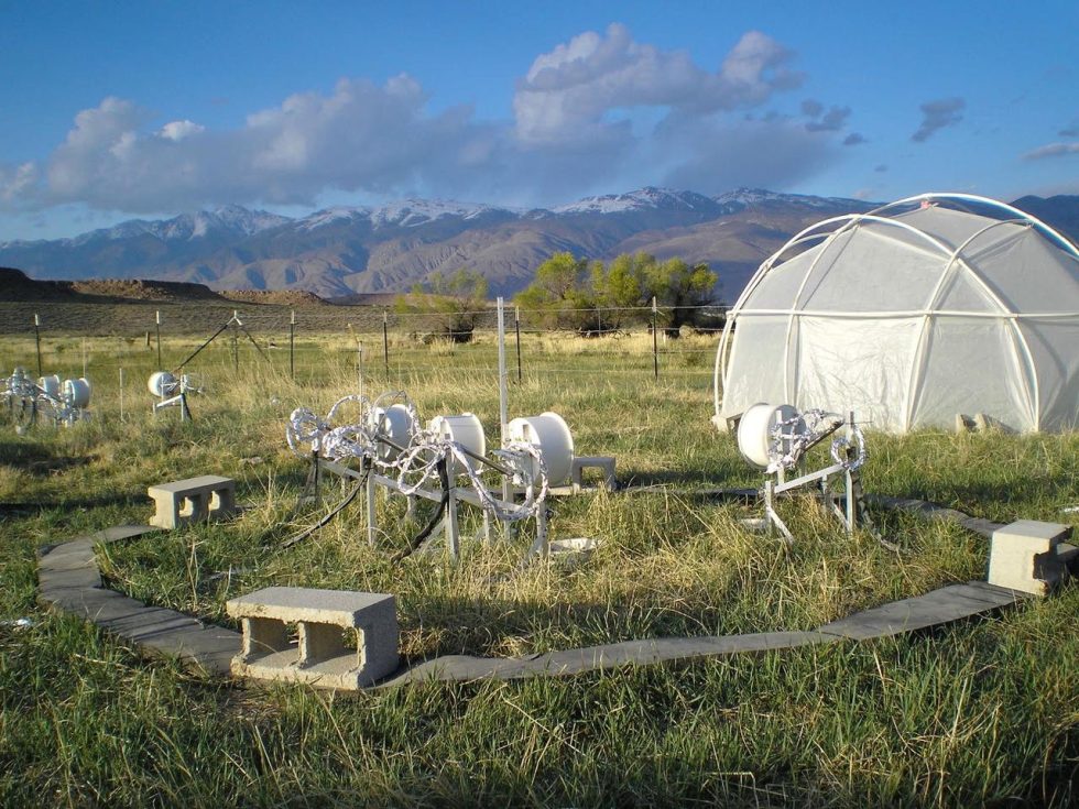 Carbone Lab | ECOSS - The Center for Ecosystem Science and Society