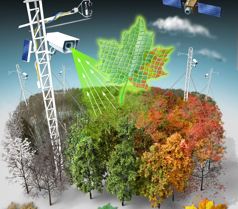 PhenoCam network harnesses ‘big data’ to predict impact of warmer climate on ecosystem productivity and carbon cycling