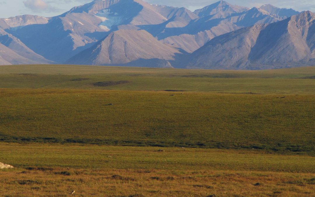 NAU’s Permafrost Carbon Network study links climate policy to reduced effects of emissions from thawing soil