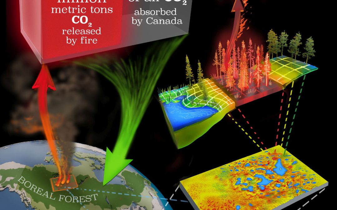 Ecoss scientists estimate carbon emissions from Canada’s boreal forests