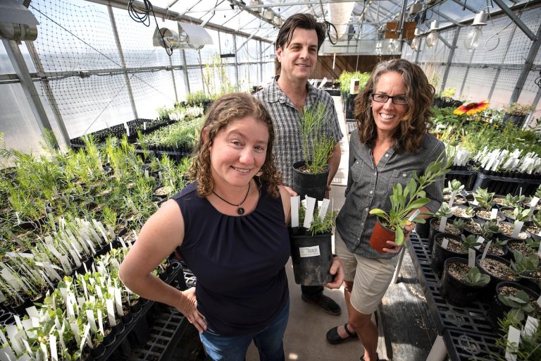 Launching of land restoration study with Ecoss contribution