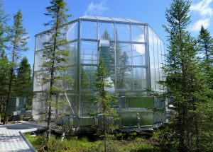 Experimental enclosure at the SPRUCE site