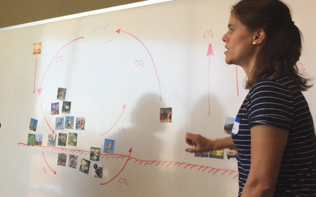 Ecoss Researcher Christina Schädel explains what 1.5°C warming means for Arizona