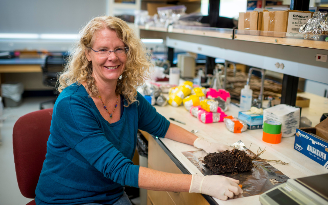 Ecoss professor Michelle Mack recognized as leader in fire science