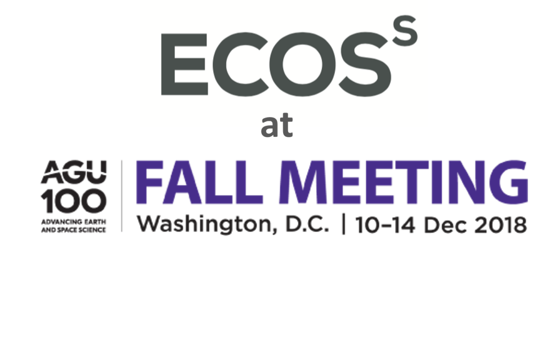 Ecoss representation at AGU 2018