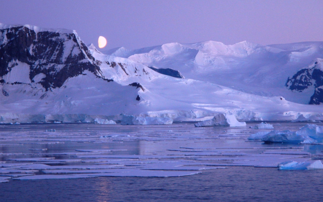 Ecoss scientists travel to Antarctica to research plant and microbial responses to warming