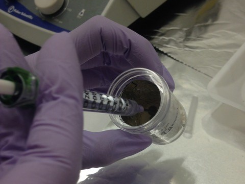 Ecoss graduate student leads study on addition of fresh carbon to permafrost