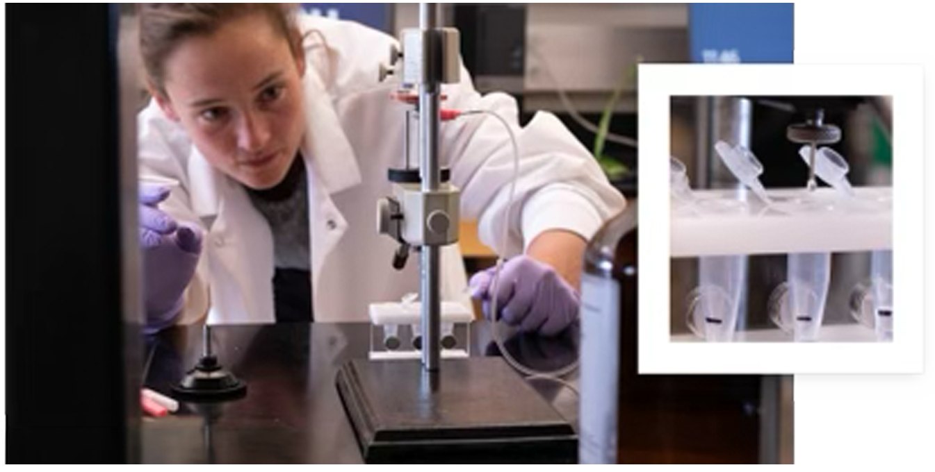 A researcher in a lab coat and purple gloves working at a laboratory bench, with a close-up of sample tubes inset