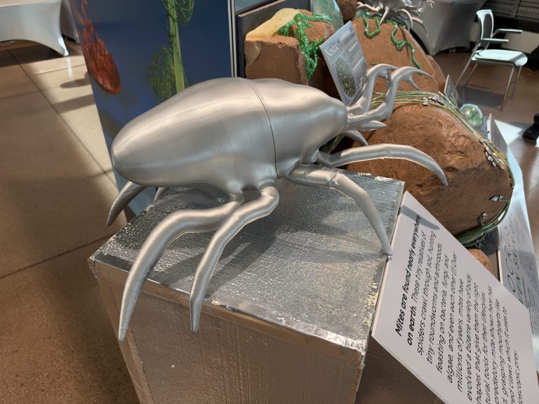 Close-up of a silver beetle sculpture